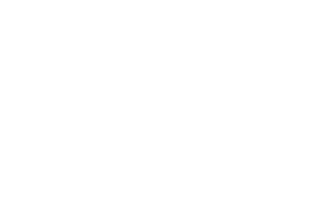 ODIS logo